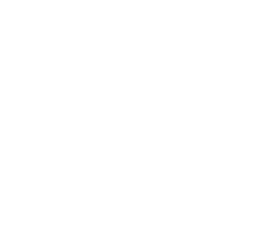 Local Expert